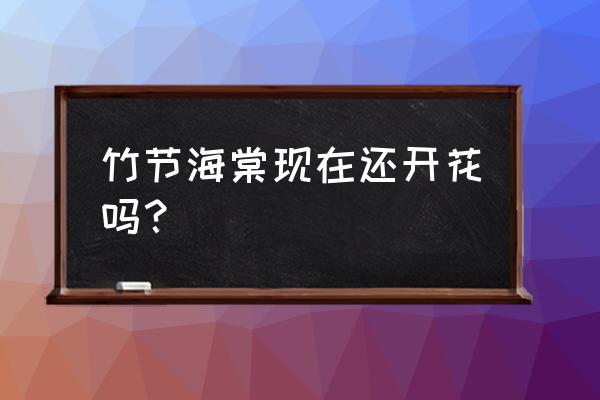 竹节海棠几月开花 竹节海棠现在还开花吗？