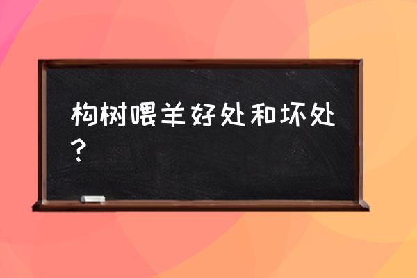 怎样用构树养羊 构树喂羊好处和坏处？