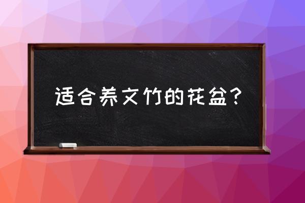 文竹用什么形状的花盆 适合养文竹的花盆？