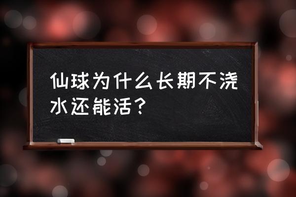 仙人球为什么不用浇水也能活 仙球为什么长期不浇水还能活？