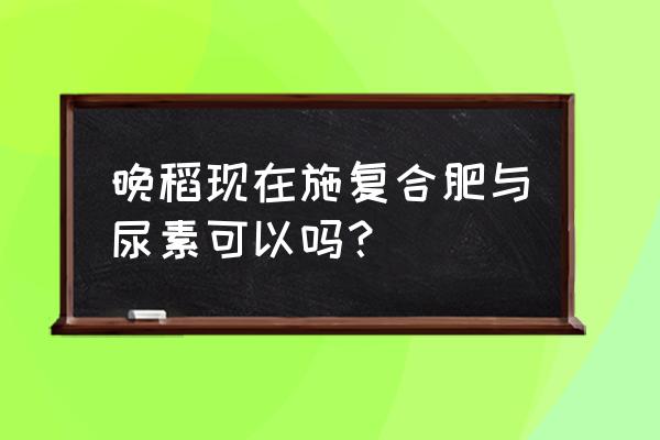 水稻后期可以追施复合肥吗 晚稻现在施复合肥与尿素可以吗？