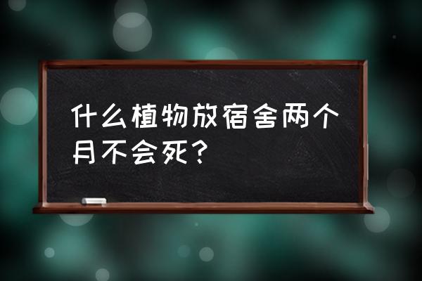 防辐射仙人掌容易养活吗 什么植物放宿舍两个月不会死？