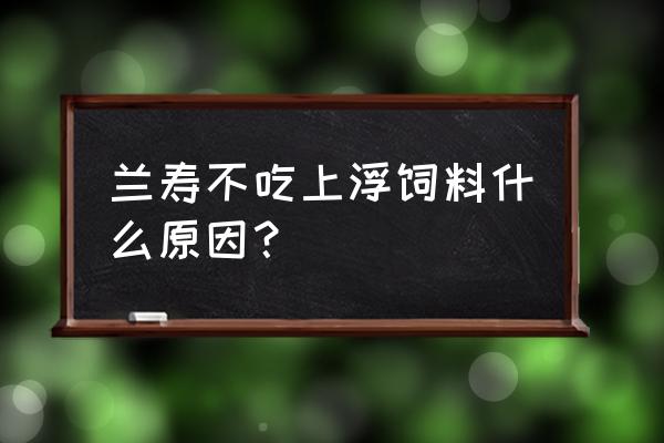 兰寿金鱼不吃饲料怎么回事 兰寿不吃上浮饲料什么原因？