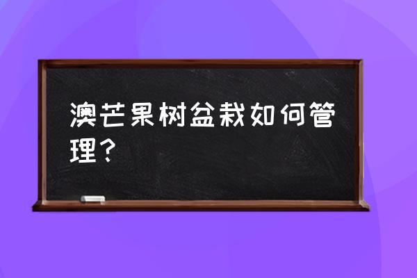 芒果盆栽用多大花盆 澳芒果树盆栽如何管理？