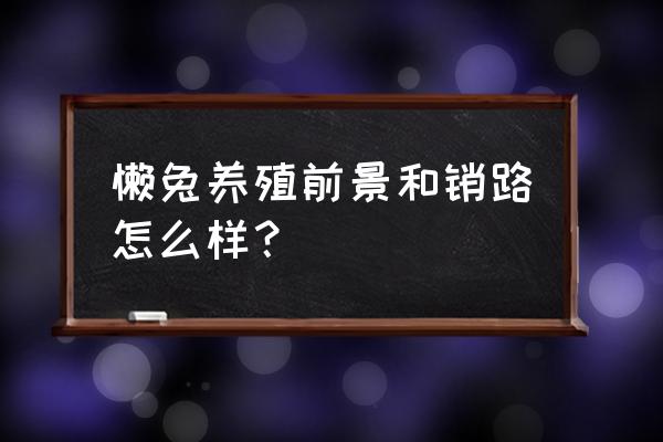 海拉尔哪有獭兔养殖场 懒兔养殖前景和销路怎么样？