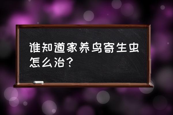 钩虫病怎么治 谁知道家养鸟寄生虫怎么治？