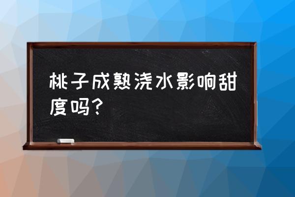 盆栽桃子怎么浇水 桃子成熟浇水影响甜度吗？