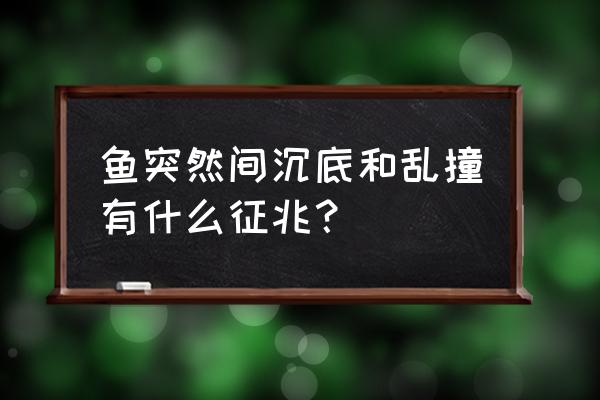 鱼类氨氮中毒的表现 鱼突然间沉底和乱撞有什么征兆？