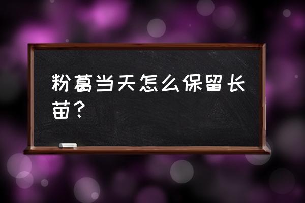 家庭粉葛怎么储藏最好 粉葛当天怎么保留长苗？