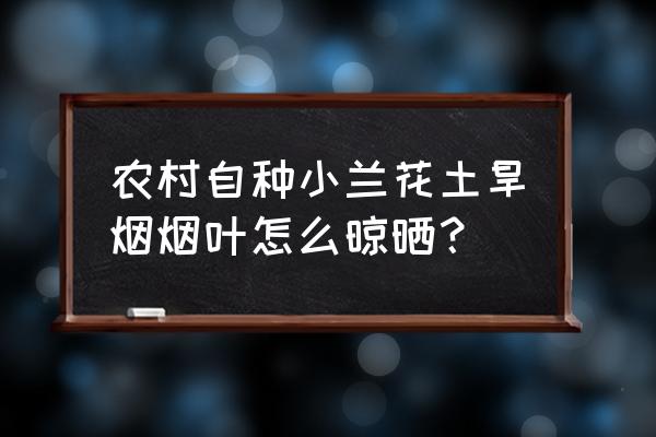 如何让烟叶快速变黄 农村自种小兰花土旱烟烟叶怎么晾晒？