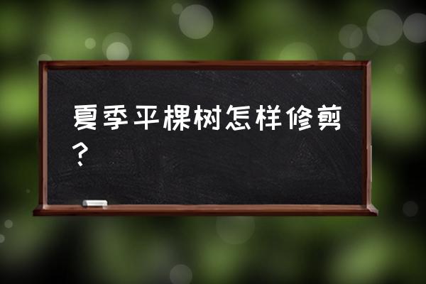 七种枝条修剪方法 夏季平棵树怎样修剪？