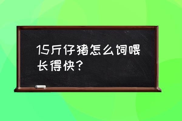 仔猪要怎么养才长得快 15斤仔猪怎么饲喂长得快？