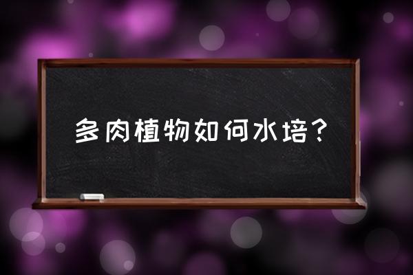 小空玻璃瓶变多肉花盆 多肉植物如何水培？