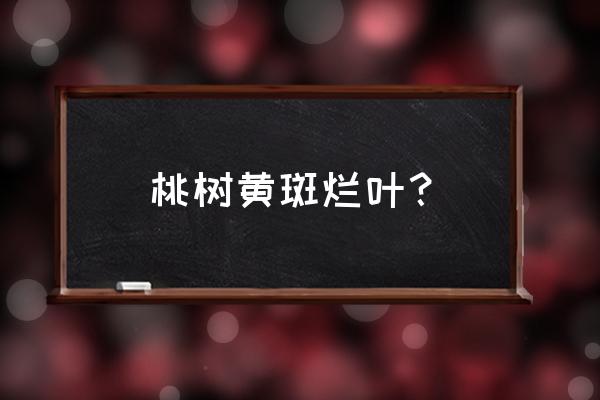 桃树叶子发黄怎么办小妙招 桃树黄斑烂叶？