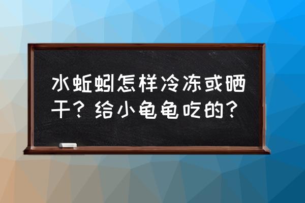 水蚯蚓有几种养殖方法 水蚯蚓怎样冷冻或晒干？给小龟龟吃的？