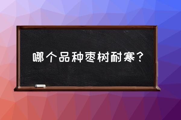 北方耐寒零下20度果树 哪个品种枣树耐寒？