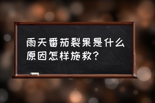 如何防止西红柿裂果烂果 雨天番茄裂果是什么原因怎样施救？