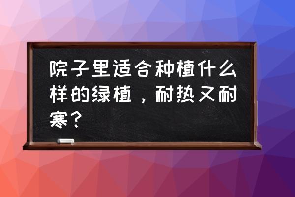 家庭种植耐寒抗冻的花是什么 院子里适合种植什么样的绿植，耐热又耐寒？