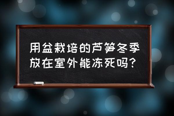 芦笋冬天田间怎么管理 用盆栽培的芦笋冬季放在室外能冻死吗？