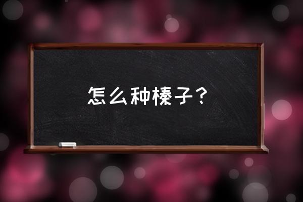 大榛子的病虫害防治技术 怎么种榛子？