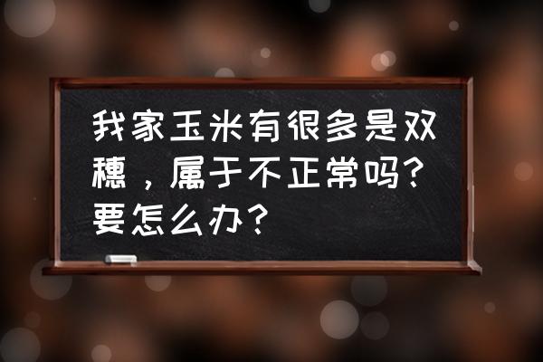 每天吃玉米有三种禁忌 我家玉米有很多是双穗，属于不正常吗？要怎么办？