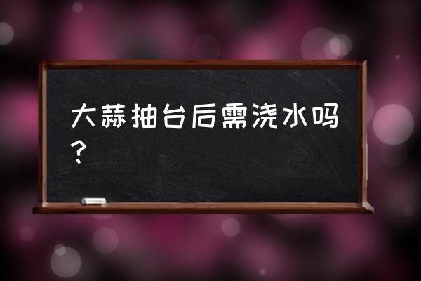 大蒜头从地里挖出怎么处理 大蒜抽台后需浇水吗？