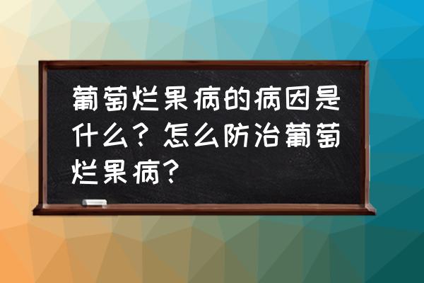 葡萄死穗的原因用什么药 葡萄烂果病的病因是什么？怎么防治葡萄烂果病？