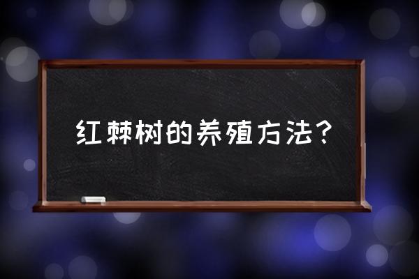 记忆里繁盛的果实攻略 红棘树的养殖方法？