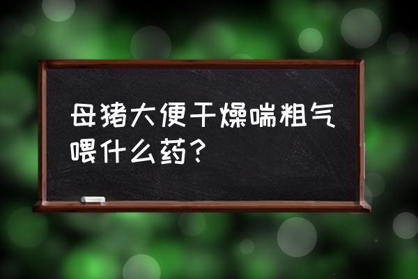 母猪气血亏损用什么药补最好 母猪大便干燥喘粗气喂什么药？