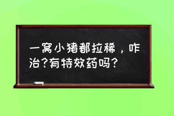 兽药甲砜霉素片用量 一窝小猪都拉稀，咋治?有特效药吗？