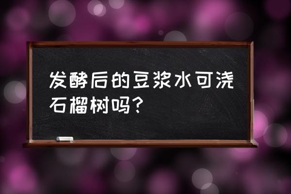 石榴树最好的肥料是什么 发酵后的豆浆水可浇石榴树吗？