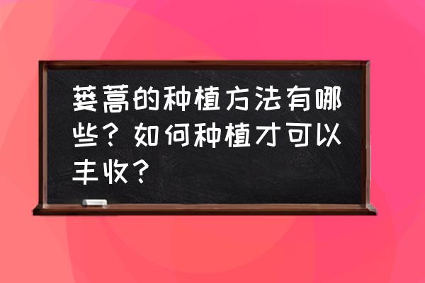 种植物小妙招有哪些 蒌蒿的种植方法有哪些？如何种植才可以丰收？