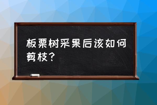 大树最简单的剪纸 板栗树采果后该如何剪枝？