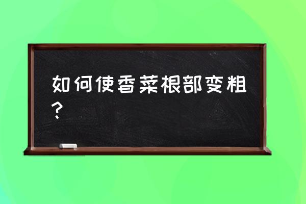 香菜黄了要拔掉吗 如何使香菜根部变粗？