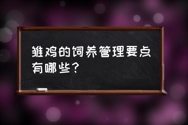 育雏期间最好的方法 雏鸡的饲养管理要点有哪些？