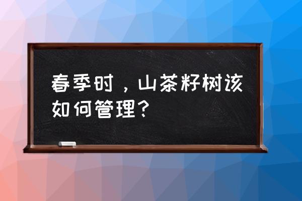 茶籽油擦脸多久才去了斑 春季时，山茶籽树该如何管理？