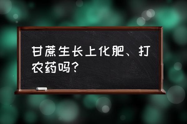 甘蔗最好复合肥 甘蔗生长上化肥、打农药吗？