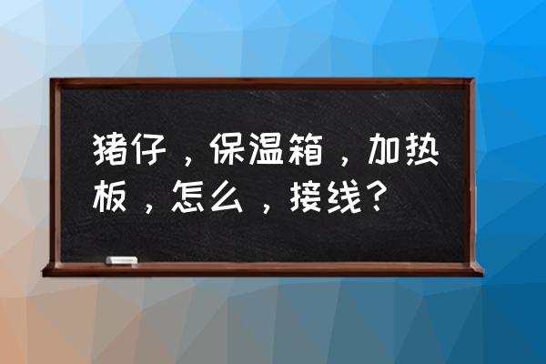 仔猪保温的方法和技巧 猪仔，保温箱，加热板，怎么，接线？