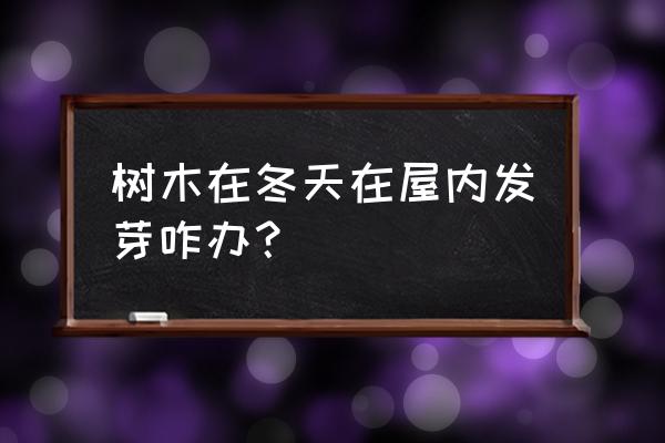 家里怎么促进植物发芽 树木在冬天在屋内发芽咋办？