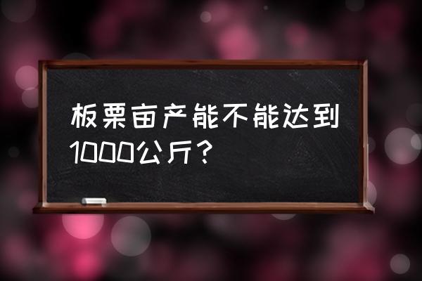 板栗亩产多少斤 板栗亩产能不能达到1000公斤？