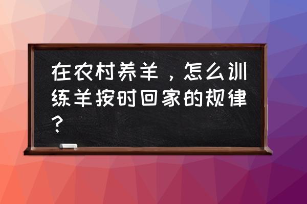 羊群回圈游戏 在农村养羊，怎么训练羊按时回家的规律？