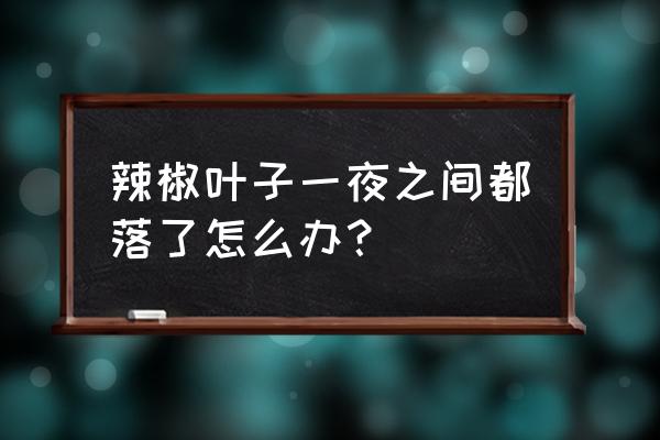 辣椒苗顶部枯萎还有救吗 辣椒叶子一夜之间都落了怎么办？