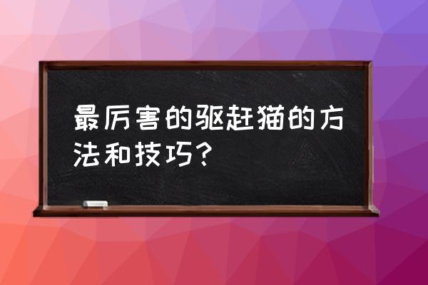 动森赶走小动物的办法 最厉害的驱赶猫的方法和技巧？