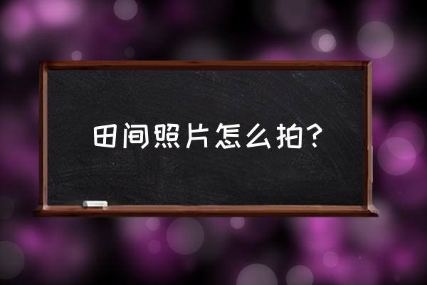 田间气象在线监测系统 田间照片怎么拍？