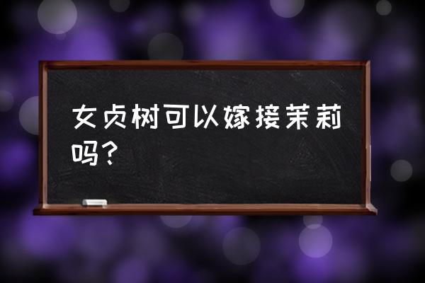 大叶女贞可嫁接金叶女贞吗 女贞树可以嫁接茉莉吗？