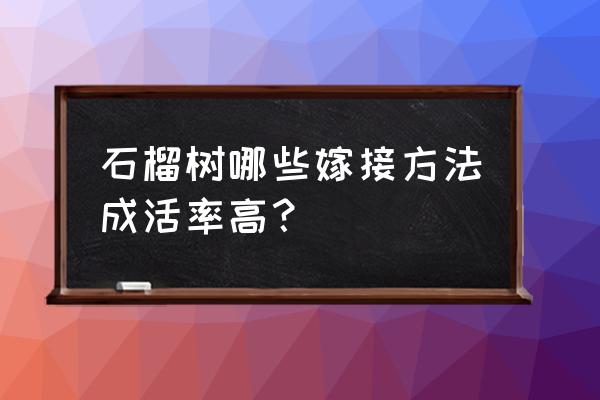 石榴树夏天嫁接方法 石榴树哪些嫁接方法成活率高？