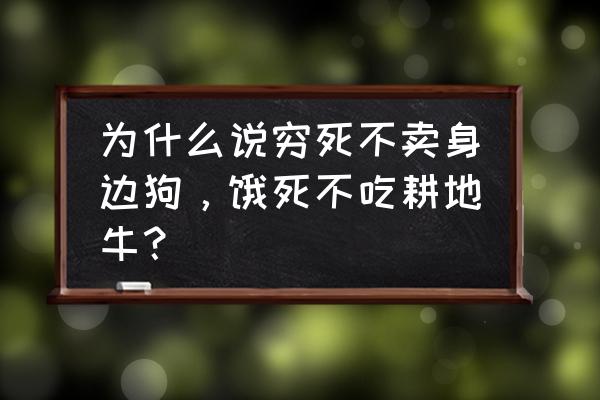 牛在农村怎么耕地 为什么说穷死不卖身边狗，饿死不吃耕地牛？