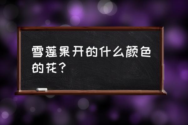 种雪莲果是不是种子种的 雪莲果开的什么颜色的花？