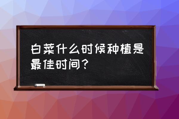 华为mate 50怎么添加桌面时钟天气 白菜什么时候种植是最佳时间？