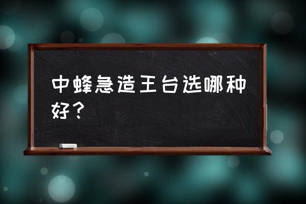 中蜂急造王台最佳方法 中蜂急造王台选哪种好？